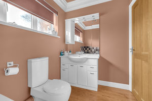 Photo 51- click for photo gallery